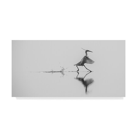 Trademark Fine Art Mauro Rossi 'Dancing On The Water' Canvas Art, 24x47 1X07023-C2447GG